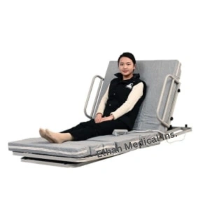 Two Functions luxurious Homecare Electric Medical Bed